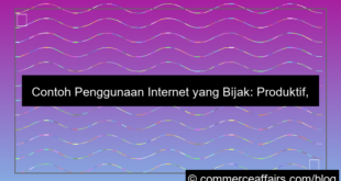 visual contoh penggunaan internet yang bijak