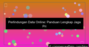 perlindungan data online